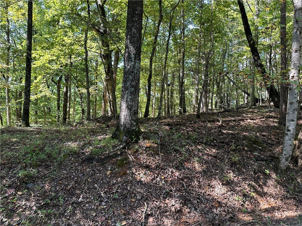 Lt2 Grandview Trail