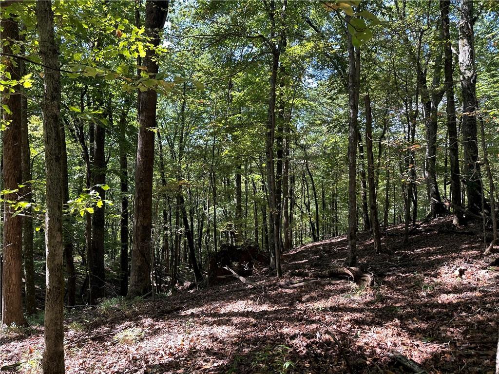 Lt2 Grandview Trail
