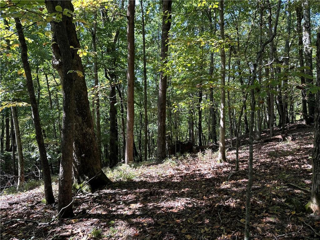 Lt2 Grandview Trail