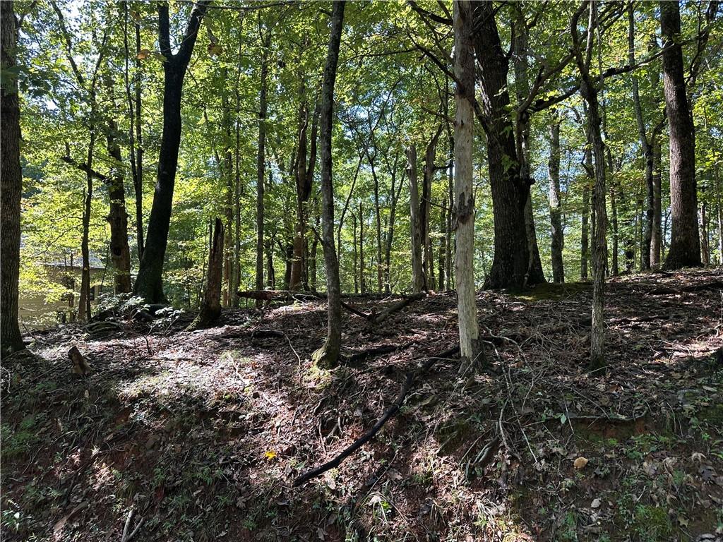 Lt2 Grandview Trail