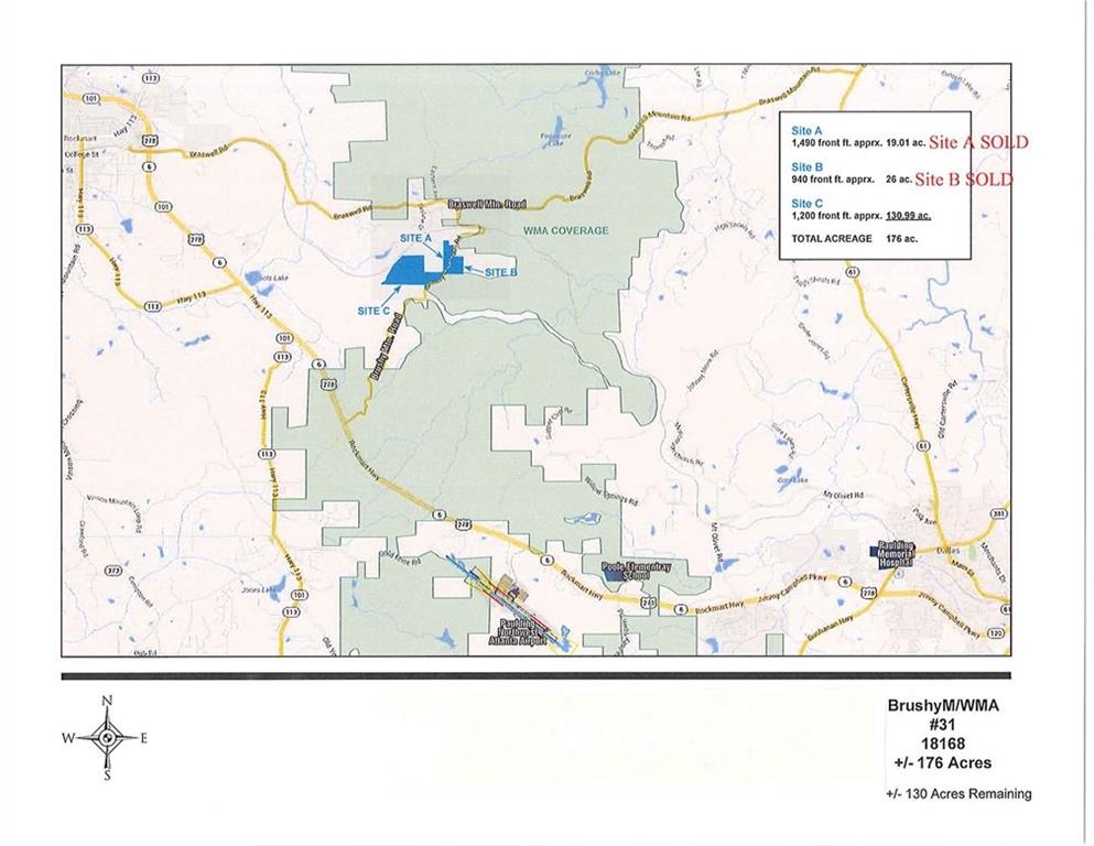 Brushy Mountain, Braswell, Georgia image 2