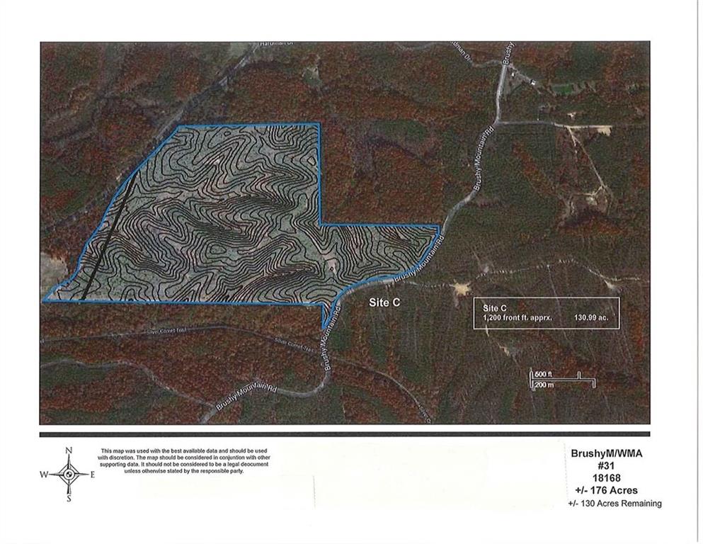 Brushy Mountain, Braswell, Georgia image 4