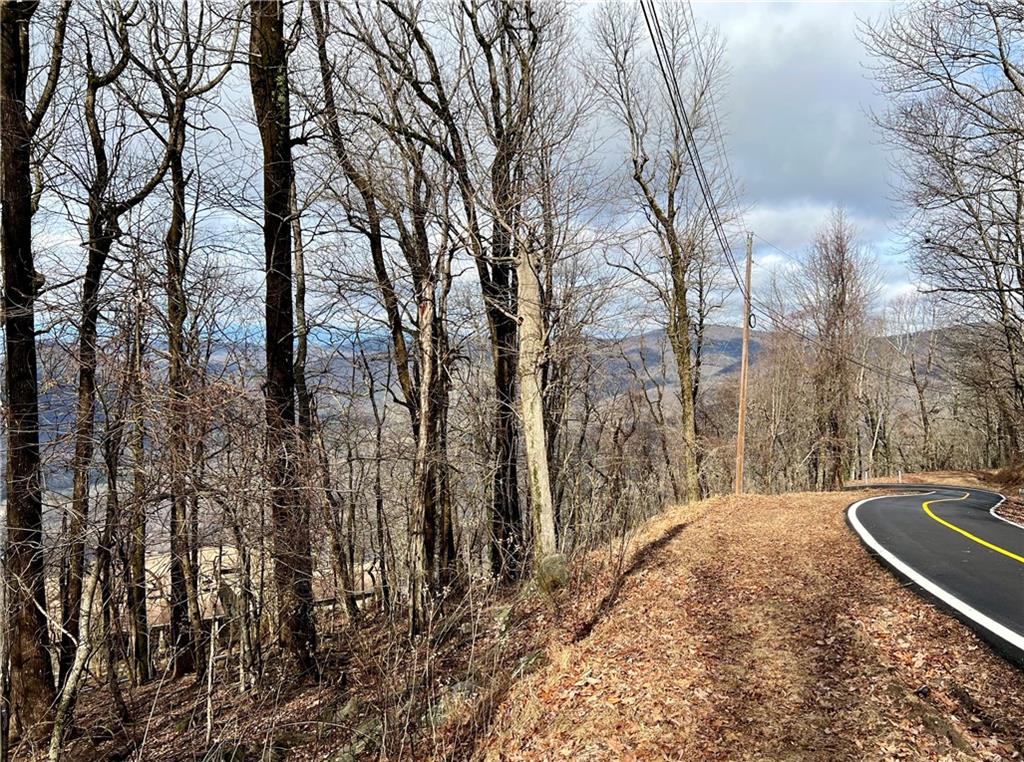 280 Big Stump Mountain Trail