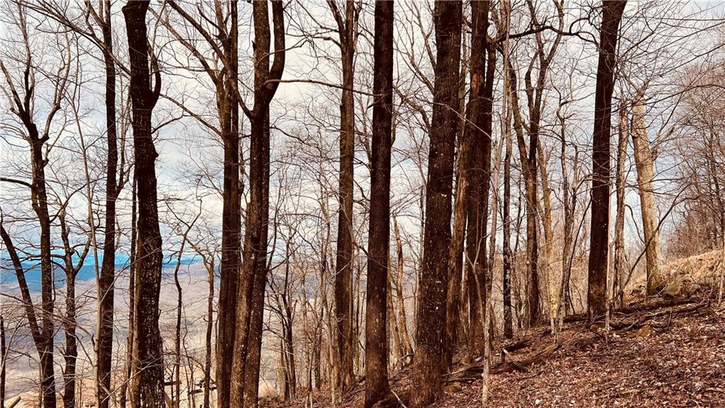 280 Big Stump Mountain Trail