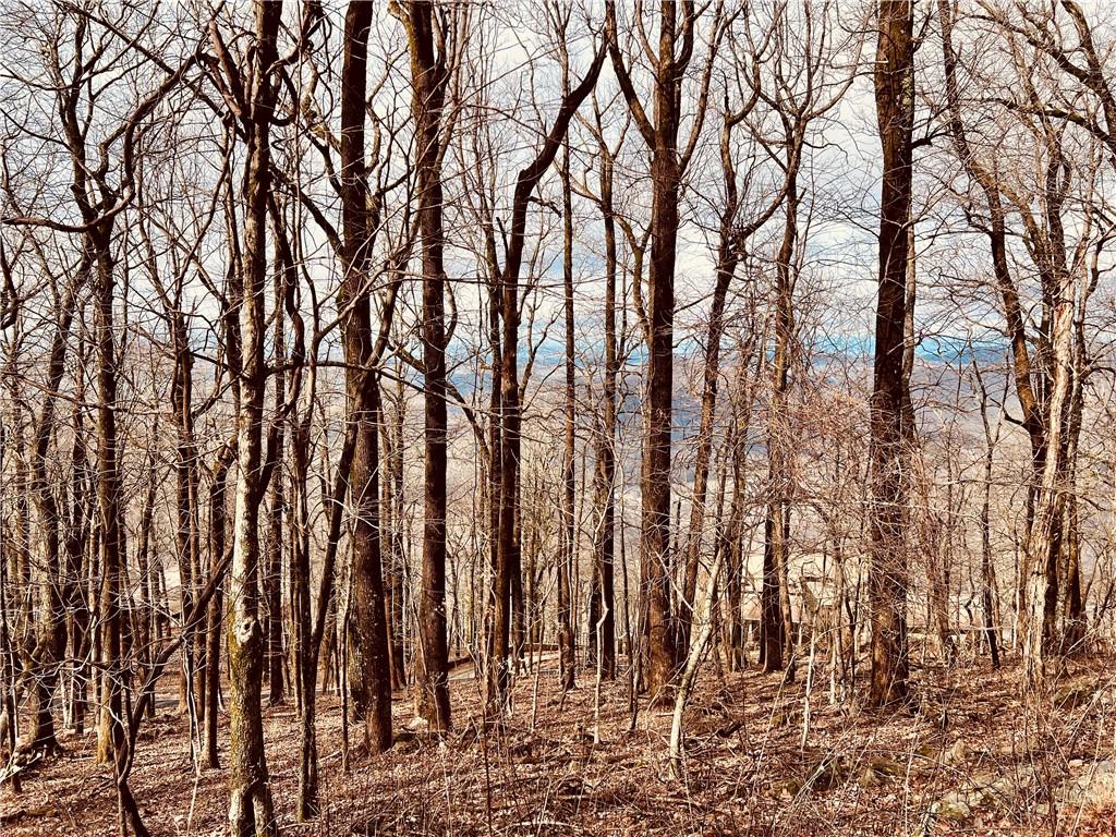 280 Big Stump Mountain Trail