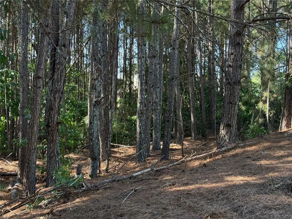 Suwanee, Georgia 30024, United States, ,Land,Active,210563