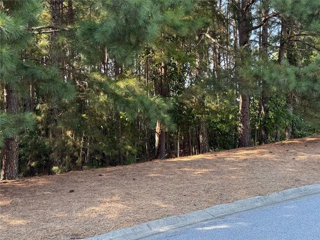 Suwanee, Georgia 30024, United States, ,Land,Active,210563