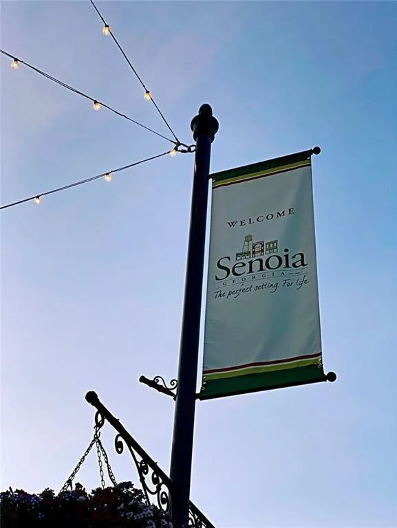 Senoia, Georgia 30276, United States, 3 Bedrooms Bedrooms, ,2 BathroomsBathrooms,Residential,Active,163277