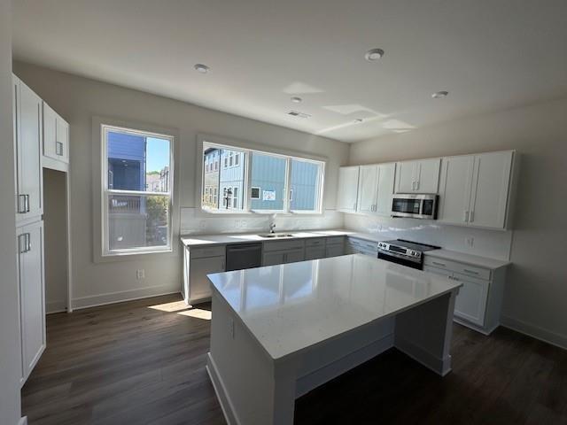 1353 Breezy Street 111