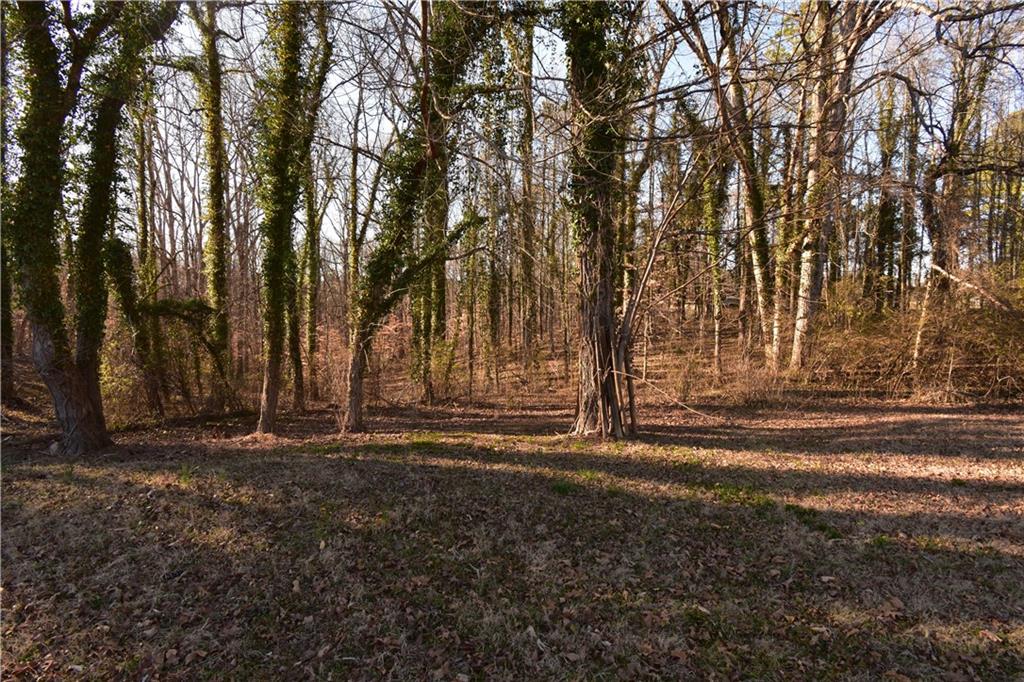 397 Marvin Land Lane, Canton, Georgia image 4