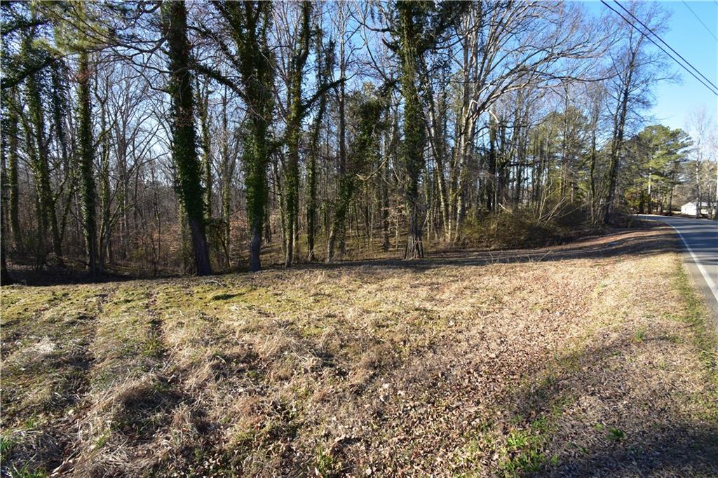 397 Marvin Land Lane, Canton, Georgia image 1