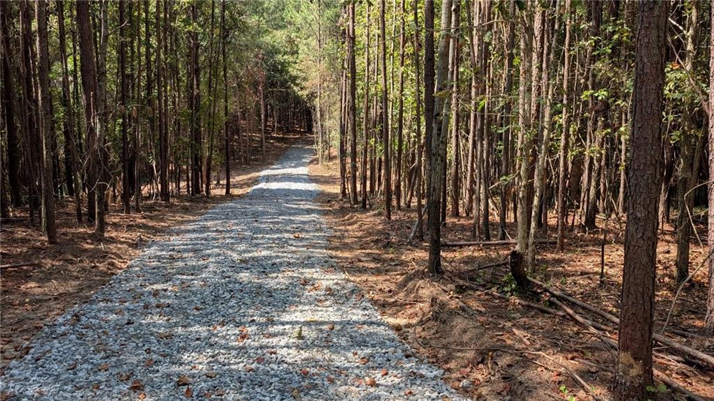 Photo of 1124 Soap Creek Rd, Ball Ground, GA 30107 (MLS # 7840949)