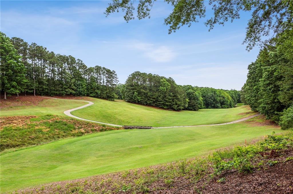107 W Point Trail, Woodstock, Georgia image 43