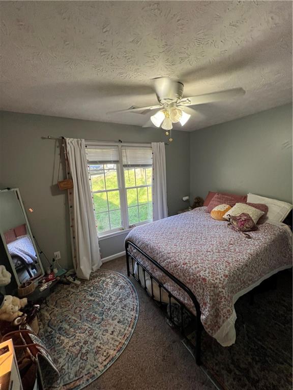 245 Royal Oaks Lane, Dahlonega, Georgia image 7