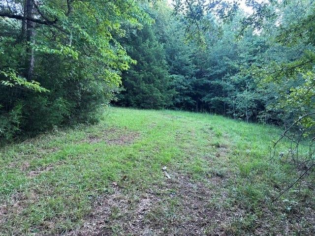 1069 Harbert Valley Road