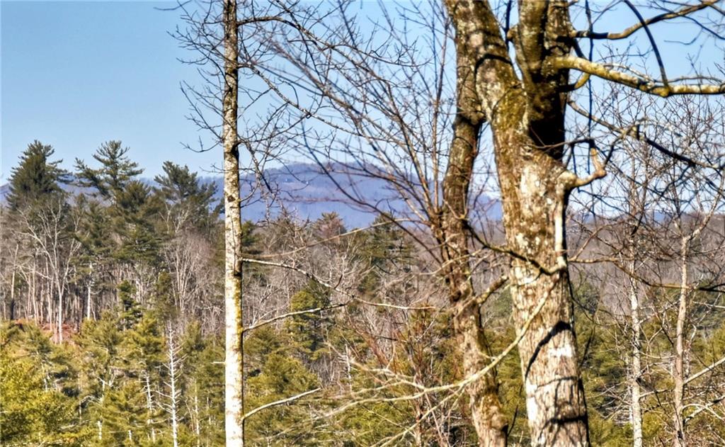 Ellijay, Georgia, 30540, United States, 3 Bedrooms Bedrooms, ,4 BathroomsBathrooms,Residential,Active,2018688