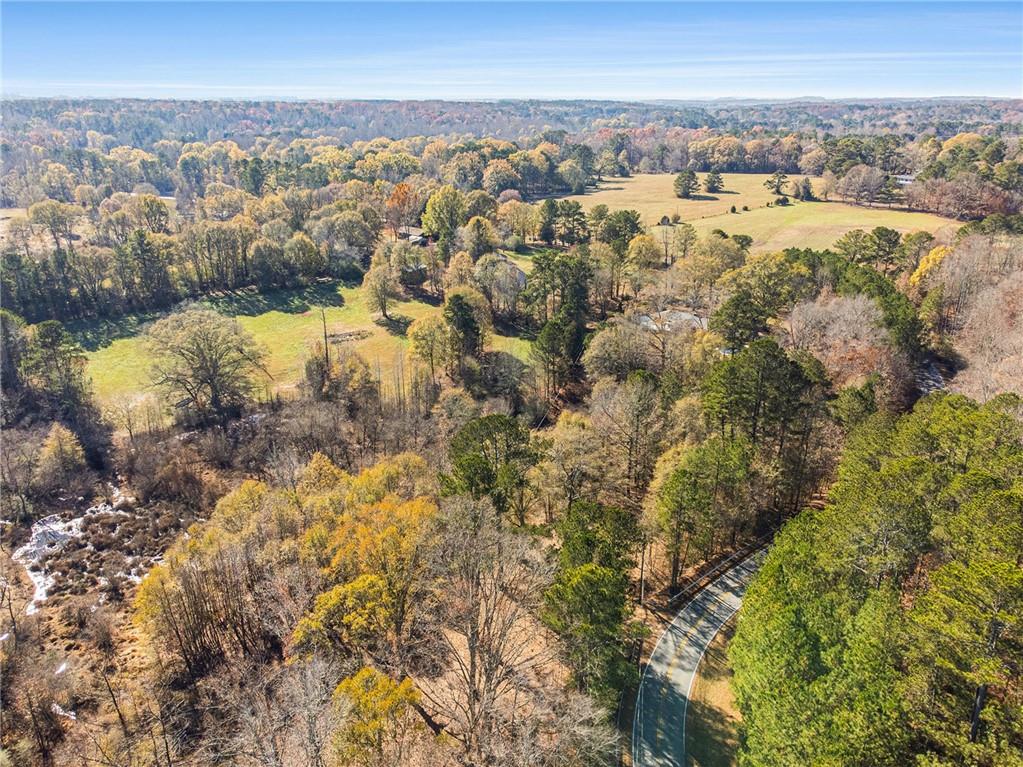 2983 E Fairview Road, Mcdonough, Georgia image 9