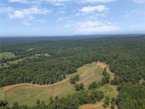 Vacant Land For Sale - 6794 Salacoa Road Rd<br/> Waleska, GA 30183