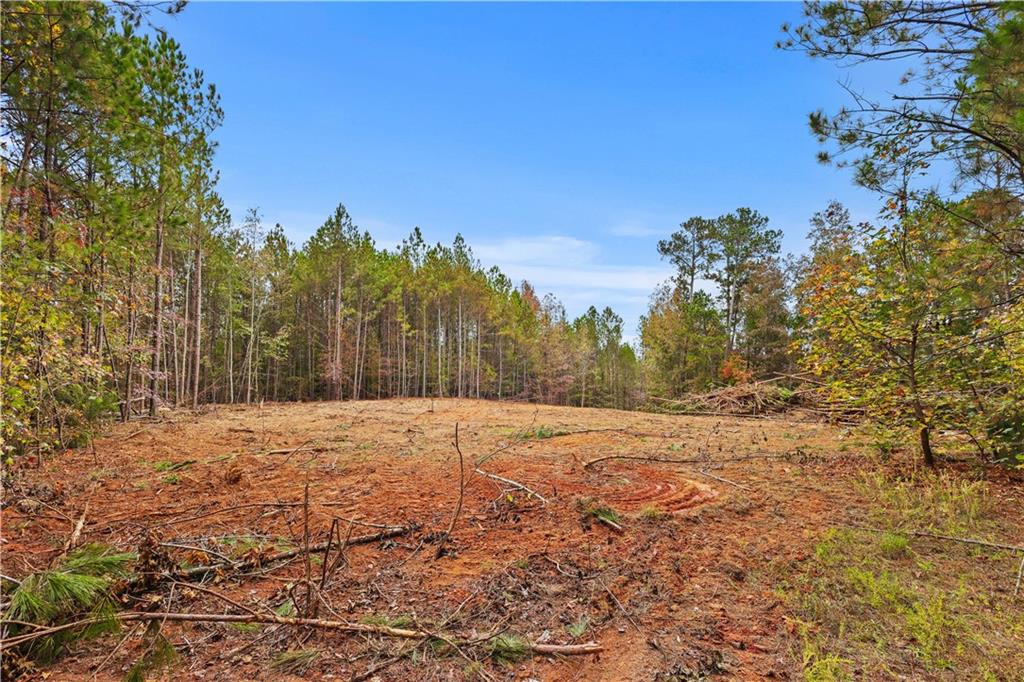 Lot 6 Mill Street, Elberton, Georgia image 6