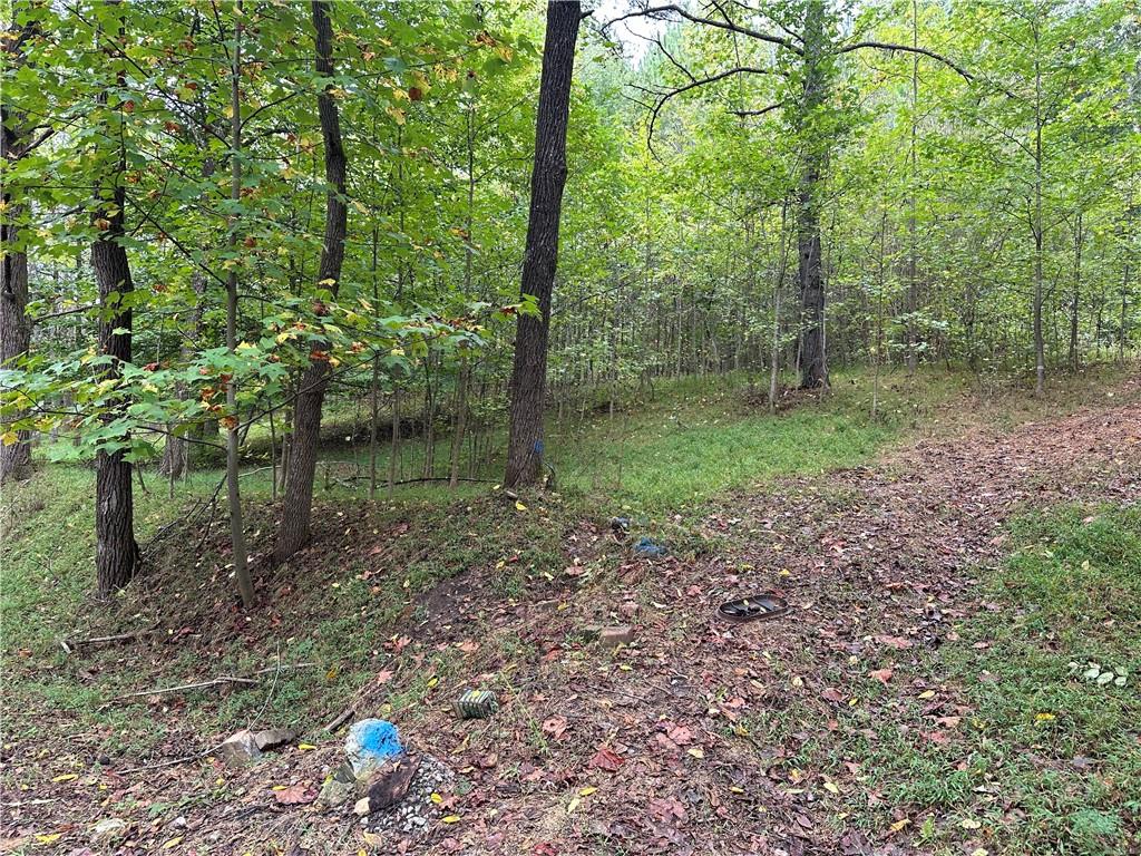 390 Pat Rich Drive