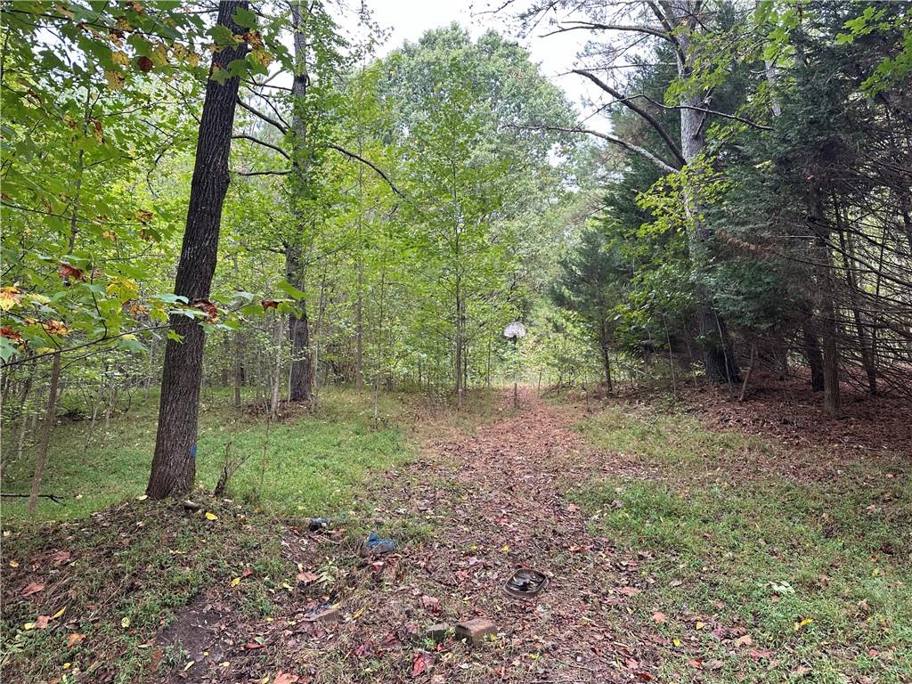 390 Pat Rich Drive
