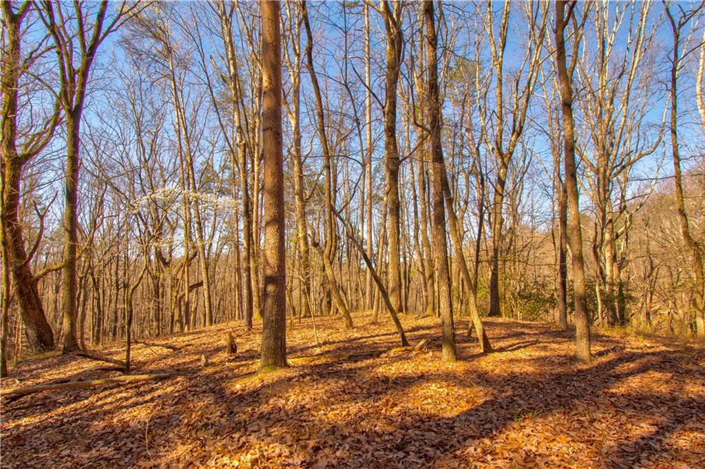 27.68 Chapman Ridge Lane