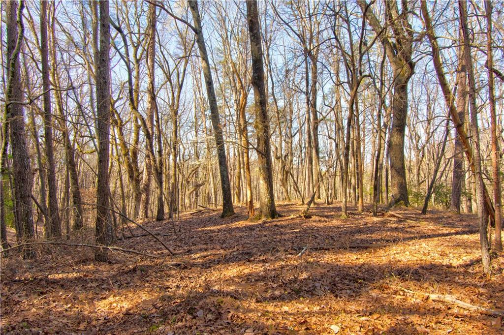 27.68 Chapman Ridge Lane