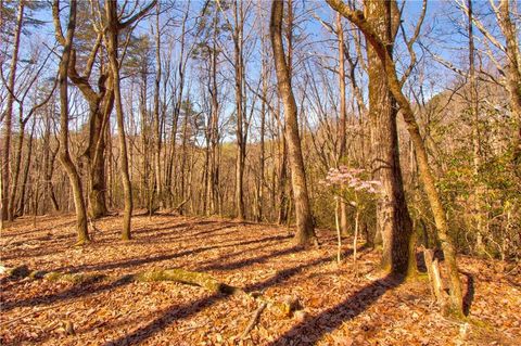 27.68 Chapman Ridge Lane Dahlonega GA 30533