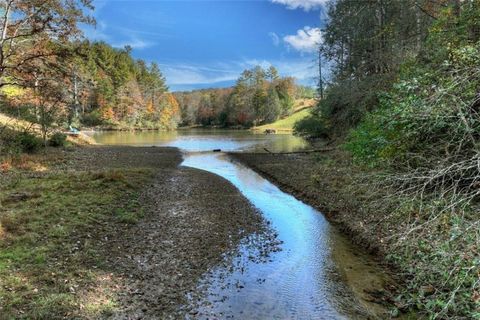 A home in Ellijay