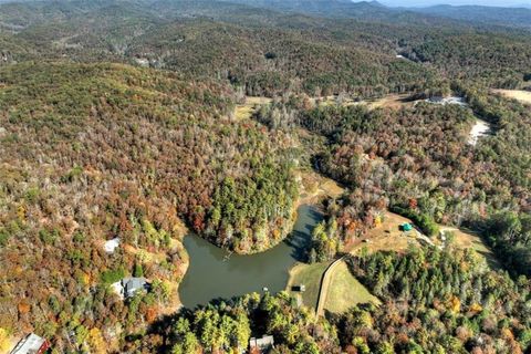 A home in Ellijay