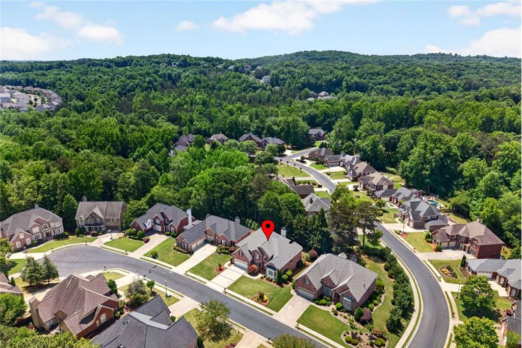 3913 Springtree Lane