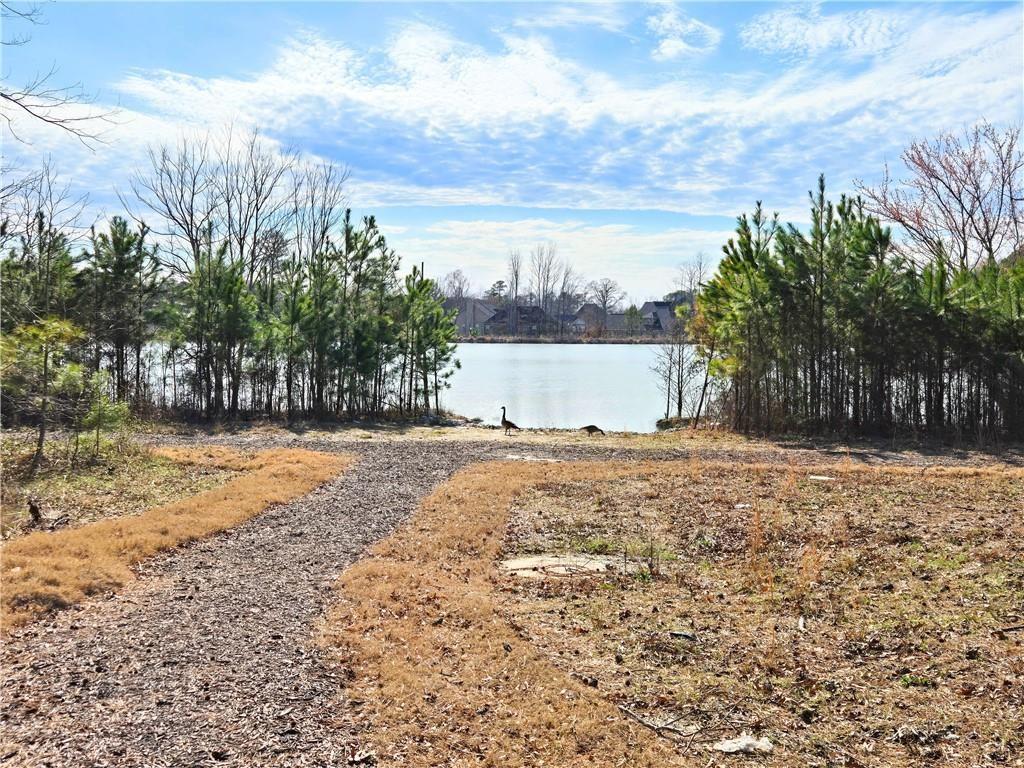 670 Redhead Way (lot 23) Way, Grayson, Georgia image 16