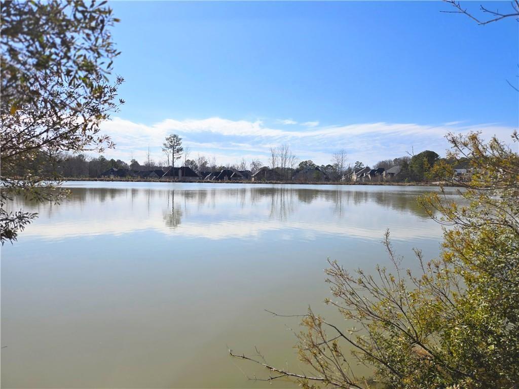 670 Redhead Way (lot 23) Way, Grayson, Georgia image 14