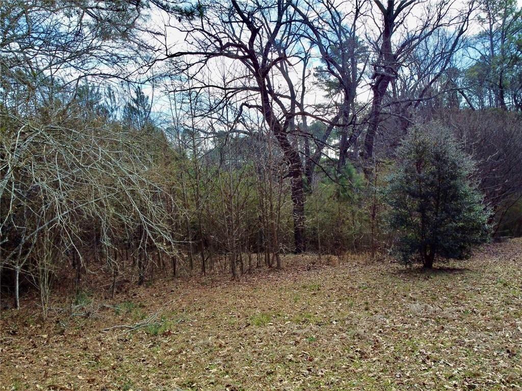 1710 Old Dallas Road SW