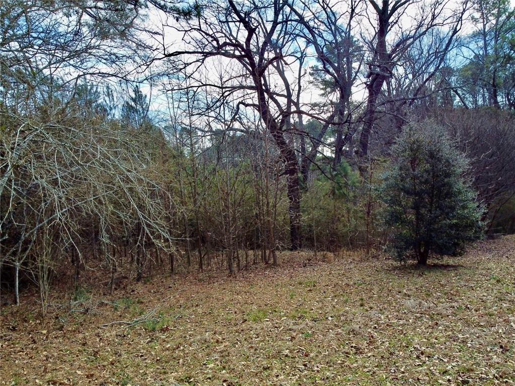 1710 Old Dallas Road SW