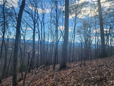 000 Trackrock Gap Road Blairsville GA 30514