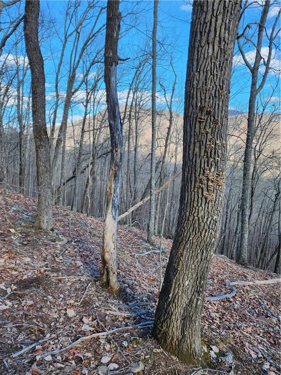 000 Trackrock Gap Road, Blairsville, Georgia image 5