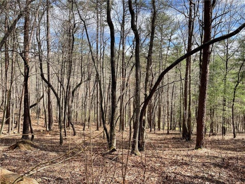 Featured picture for the property 7360167