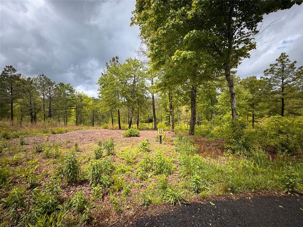 35 Arbor Creek, Mineral Bluff, Georgia image 1