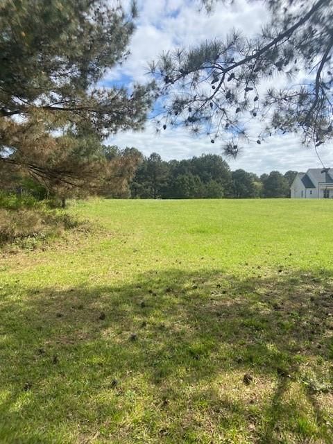 Vacant Land For Sale - 4A Horseshoe Road<br/> Walton County, Loganville, GA 30052