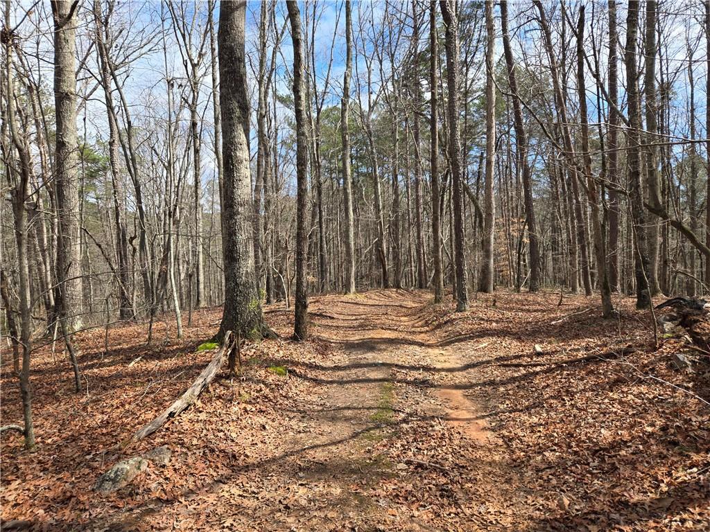 789 Allred Mill Road