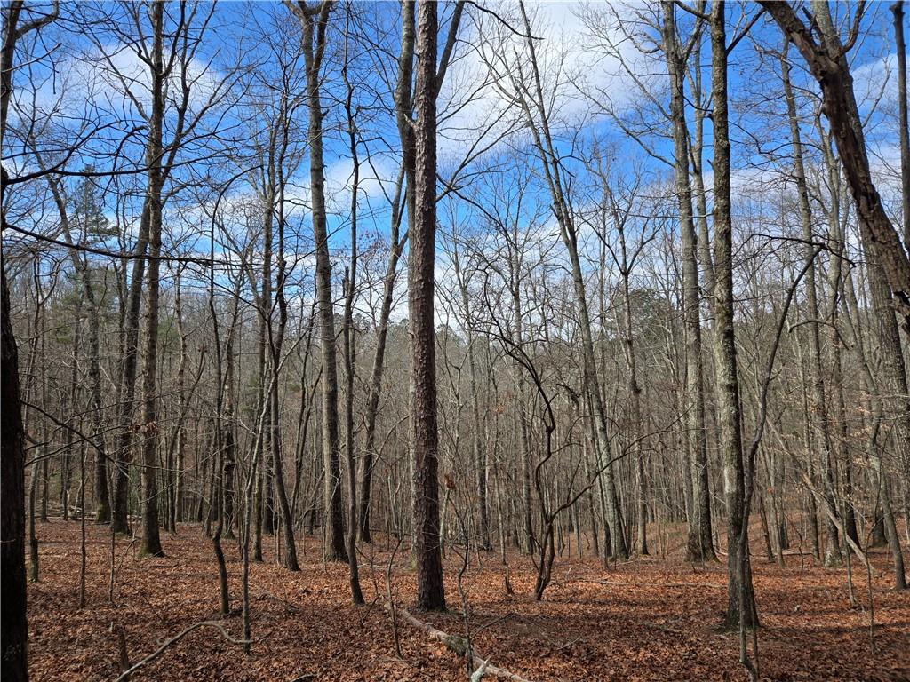 789 Allred Mill Road