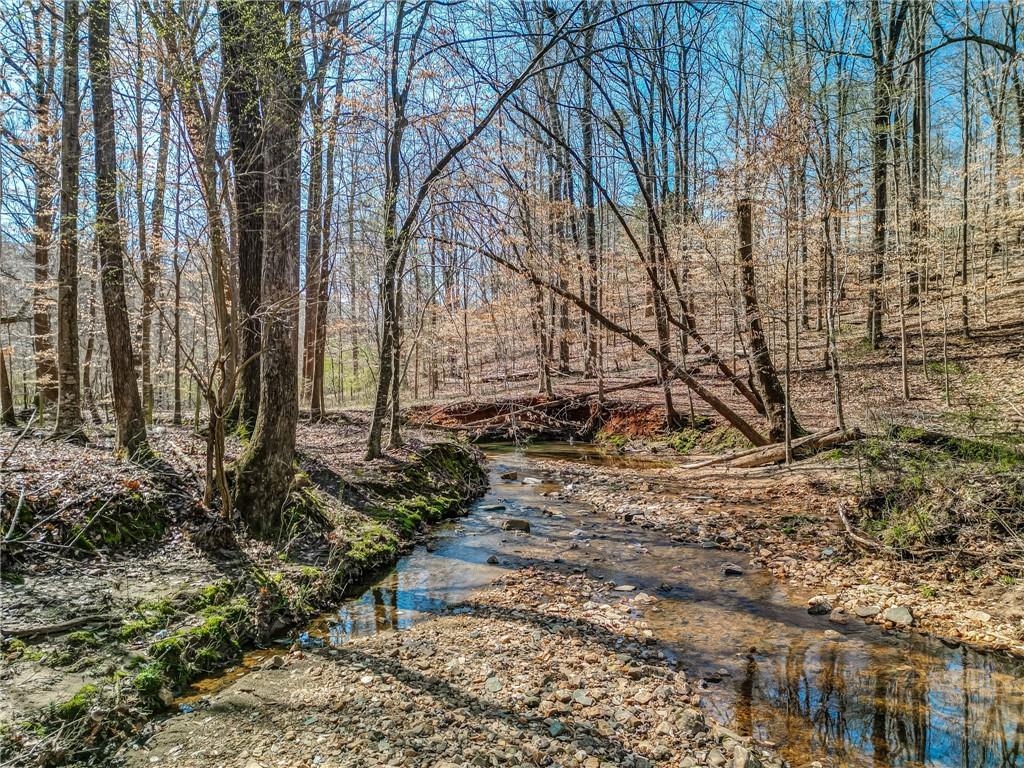 47 Ac Jesse Martin Trail, Canton, Georgia image 9