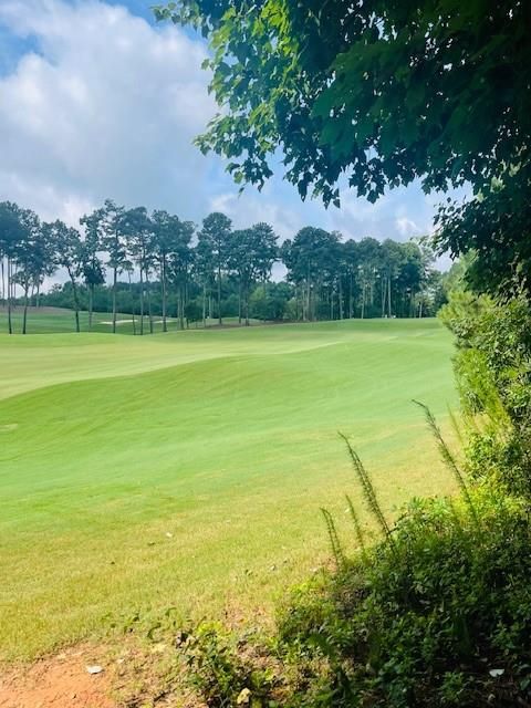 Vacant Land For Sale - 124 Hawks Court<br/> Ball Ground, GA 30107