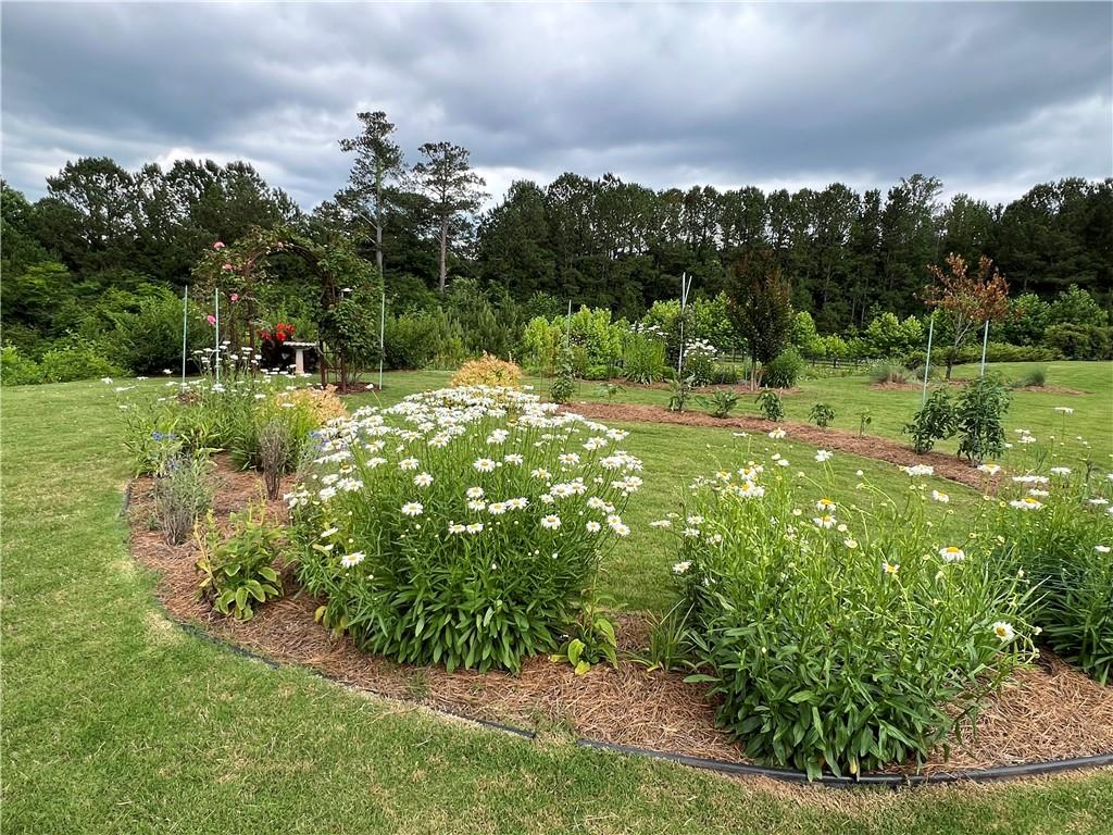 124 Sweetbriar Farm Road, Woodstock, Georgia image 26