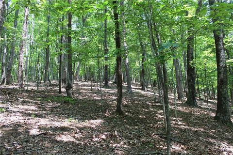 Vacant Land For Sale - Denny Ridge Road<br/> Jasper, GA 30143