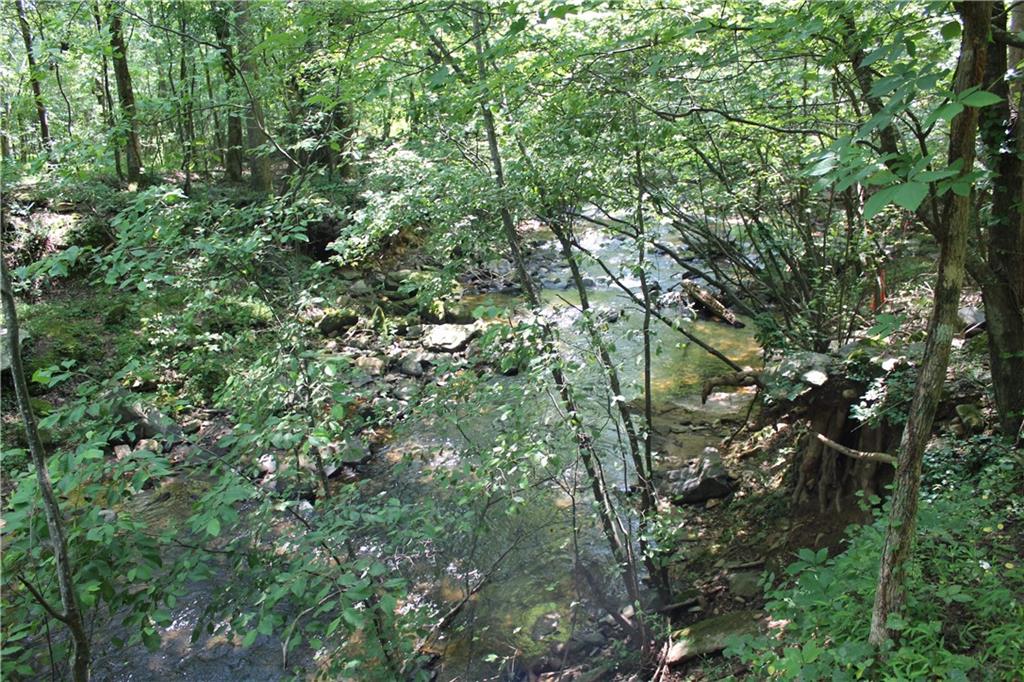 Denny Ridge Road, Jasper, Georgia image 16
