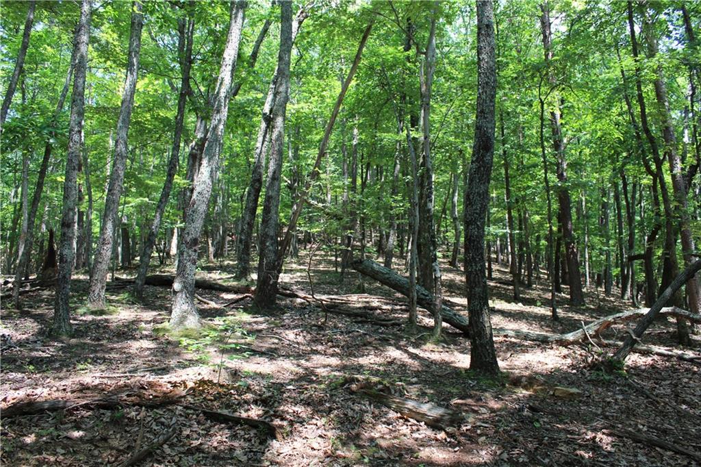 Denny Ridge Road, Jasper, Georgia image 49