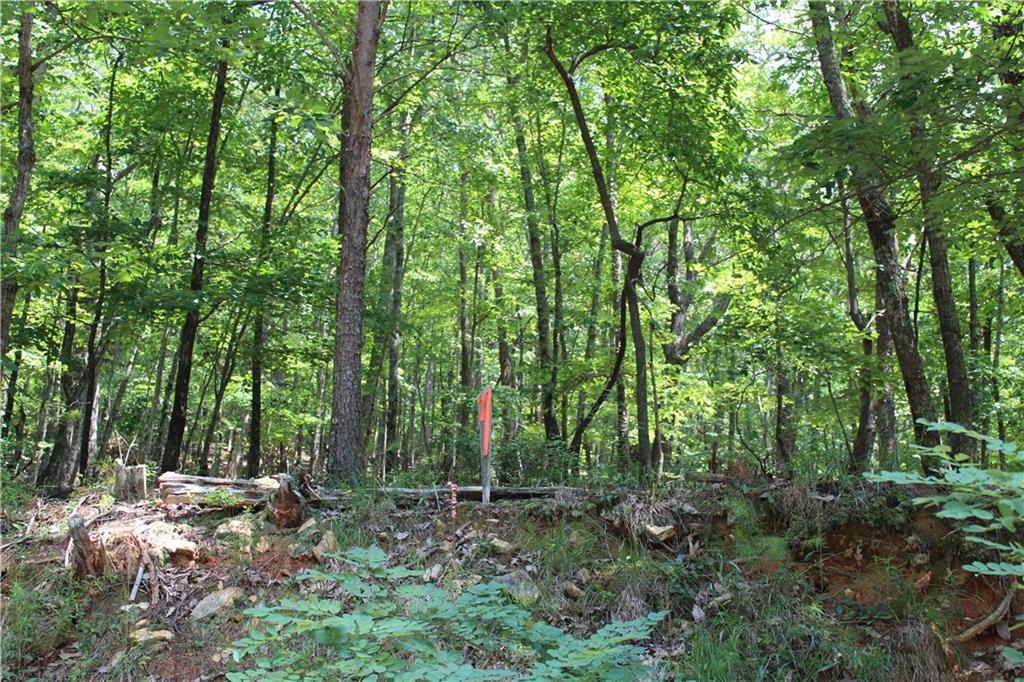Denny Ridge Road, Jasper, Georgia image 42