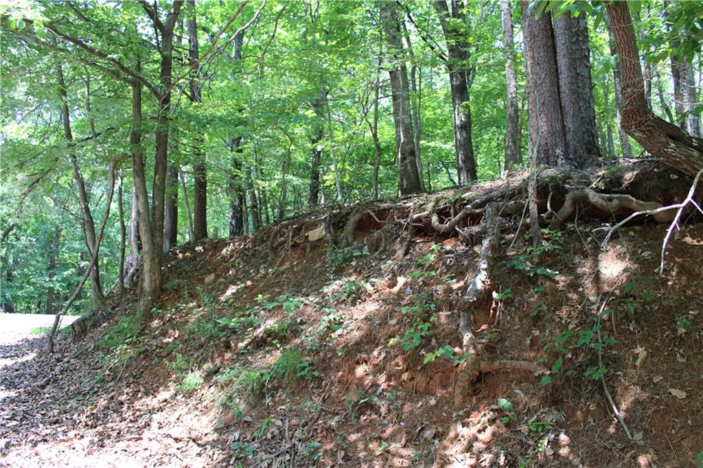 Denny Ridge Road, Jasper, Georgia image 39